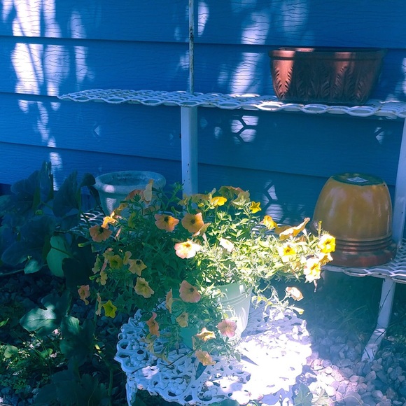 The Limited Drew Fit Women Pant - Picture 13 of 16